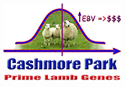 Cashmore Park Cashmore Park