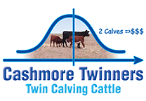 Cashmore Twinners